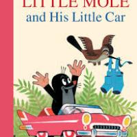 book cover of the English translation of the Little Mole and his car children's book